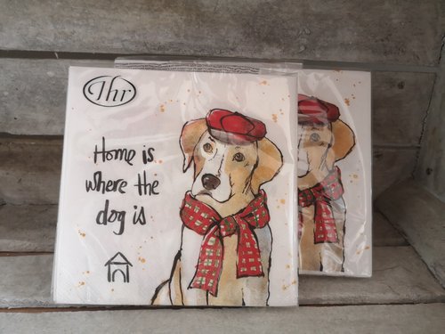 Serviette handgezeichneter Beagle mit Muetze Home is where the dog is