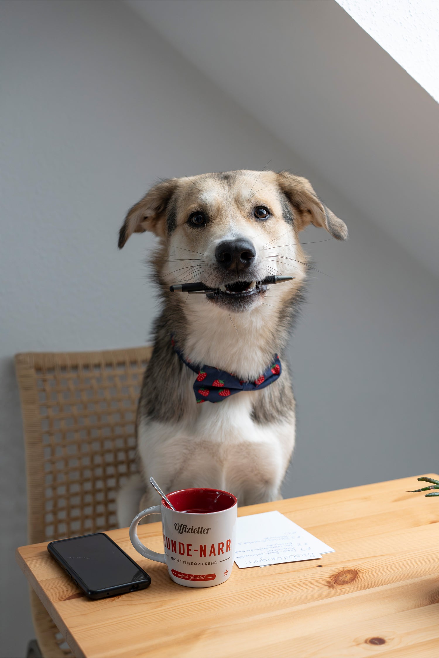 Hund mit Fliege um den Hals und Stift im Mund sitzt an Schreibtisch mit Kaffeetasse und leistet Kundensupport